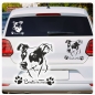 Preview: Bodegero Andaluz Name Autoaufkleber Auto Aufkleber Sticker Pfoten A4308